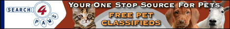 Search4Paws.com - Free Online Pet Search And Classifieds for Dogs, 
puppies, cats, kittens, pet classified, pet classifieds, online pet 
classifieds, online puppy classifieds, online dog classifieds, online kitten 
classifieds, free pet classifieds 