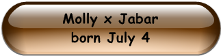 Molly x Jabar                                             born July 4